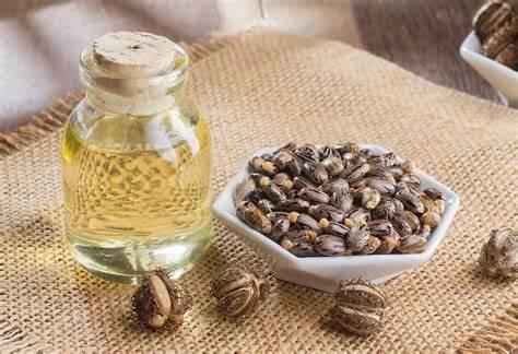 Castor oil in glass jar and castor seeds in bowl on burlap, natural beard care ingredients