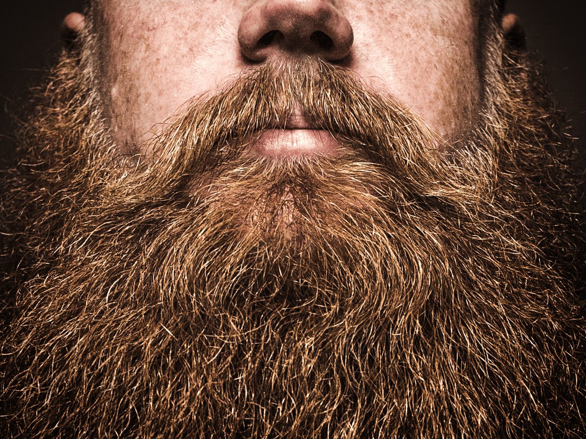 Close-up of a thick, well-groomed brown beard and mustache, facial hair care focus.