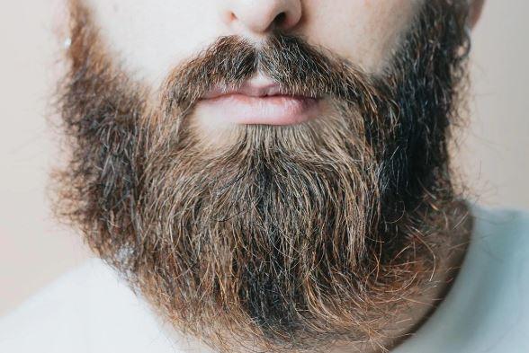 Close-up of a thick, healthy beard, showcasing natural beard care results for Hairy Man Care
