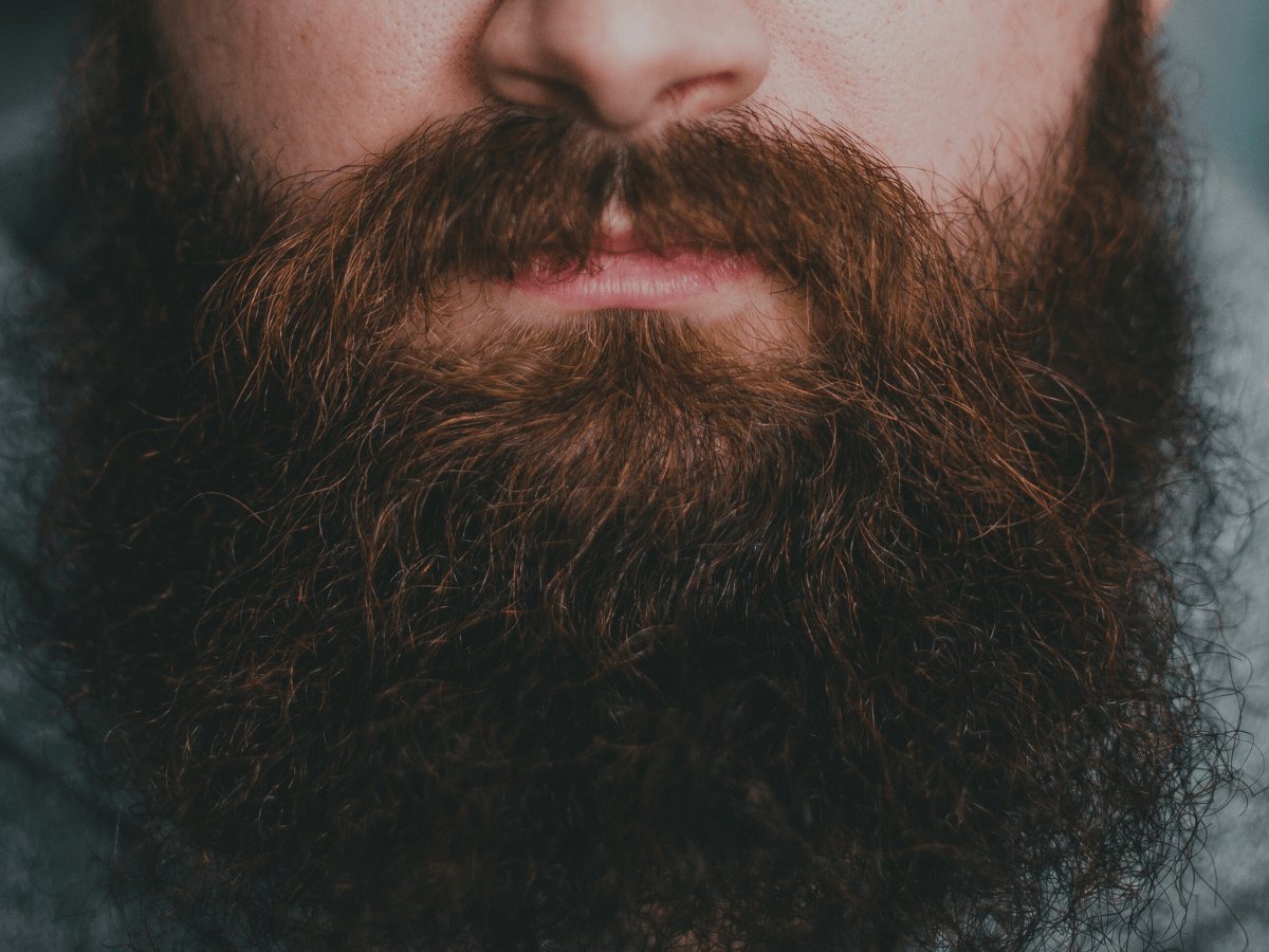 Close-up of a thick, well-groomed brown beard and mustache