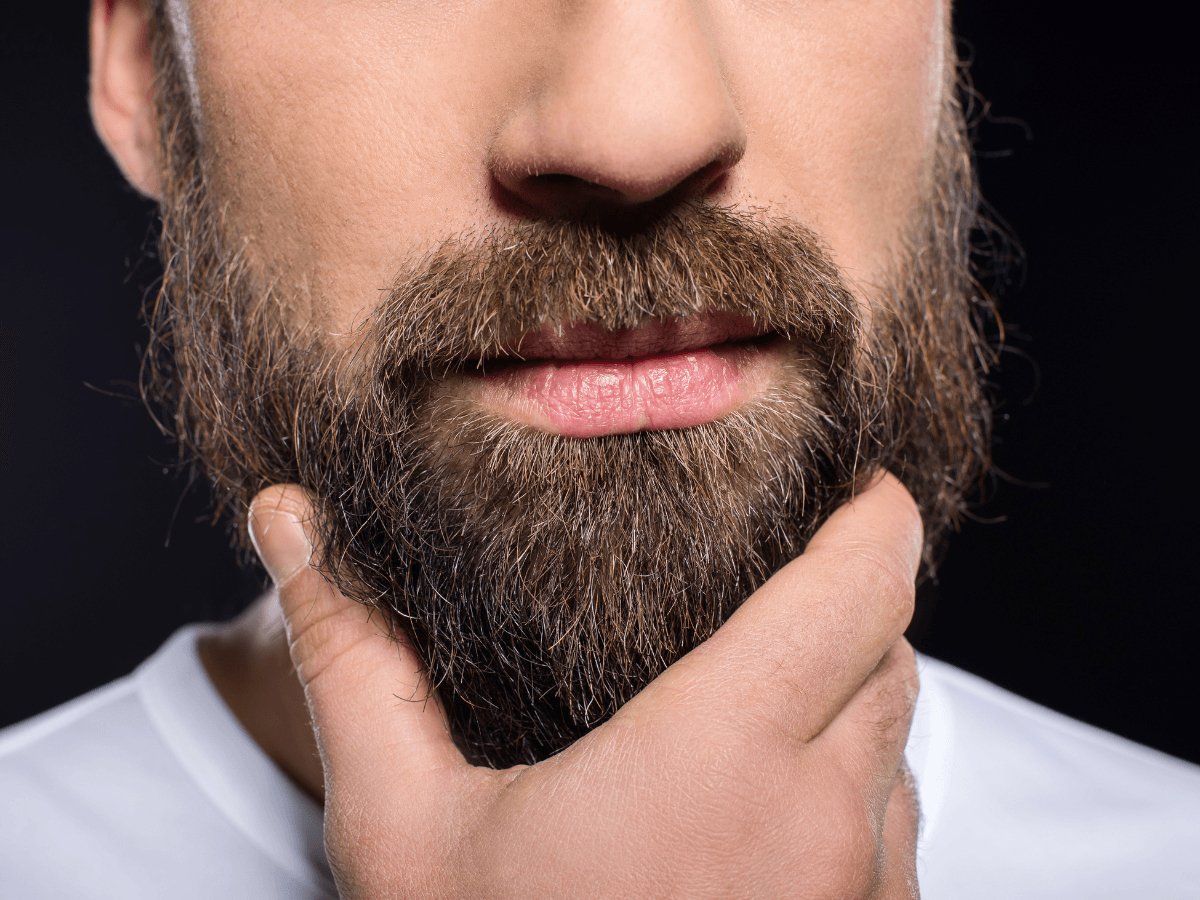 Close-up of a man with a thick, well-groomed beard touching his chin, natural grooming
